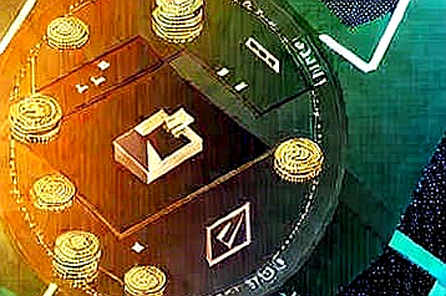 The Legitimacy Borrowing Trap: How Open USD’s ‘140-Enterprise Alliance’ Collapsed Under Its Own Weight